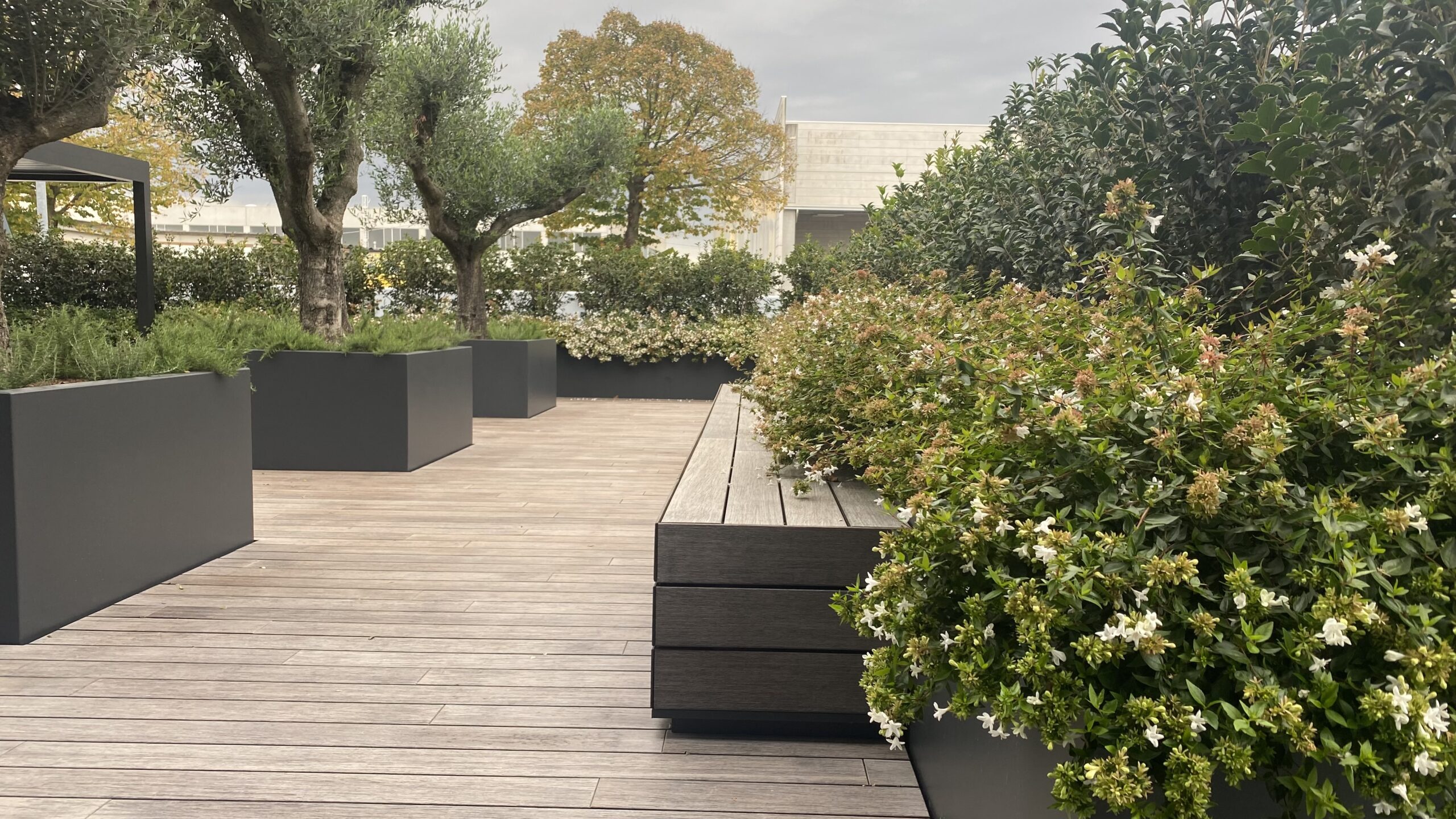 Show room “sensoriale”